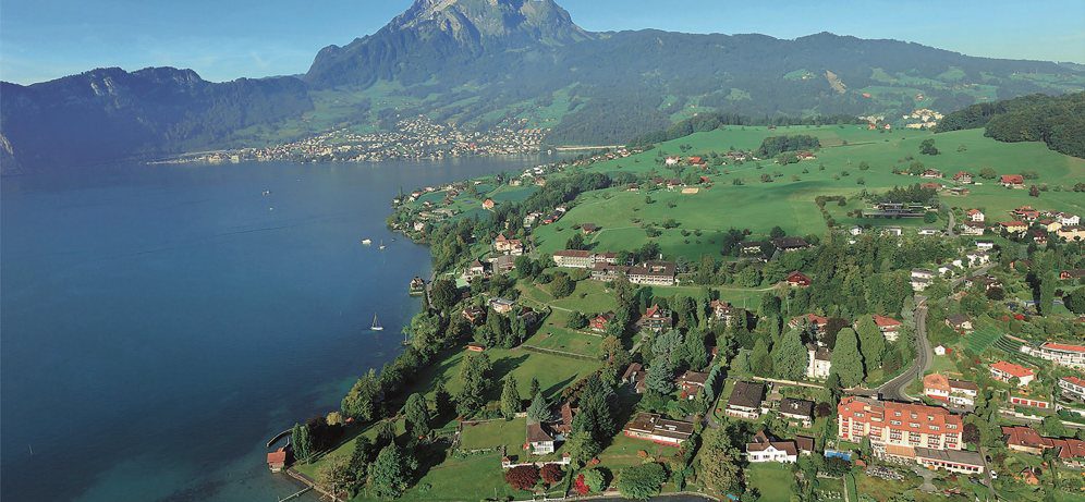 IMI